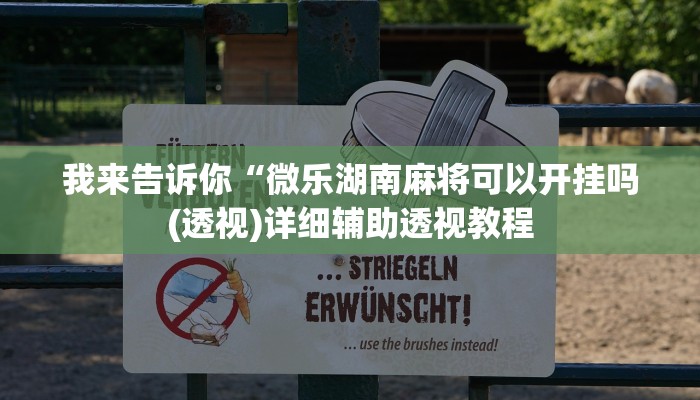 我来告诉你“德扑之星开挂辅助教程(透视)详细辅助透视教程