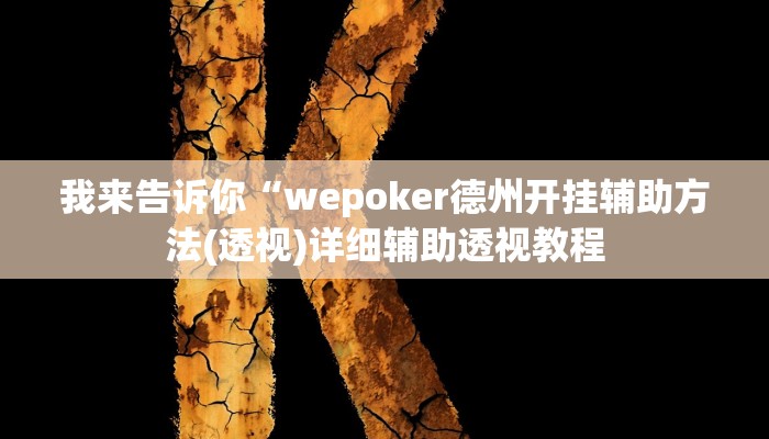 我来告诉你“wepoker德州开挂辅助方法(透视)详细辅助透视教程