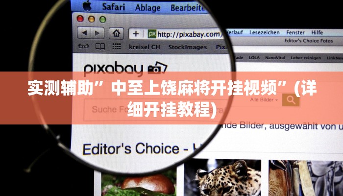 实测辅助”德扑之星透视挂辅助”(详细开挂教程)