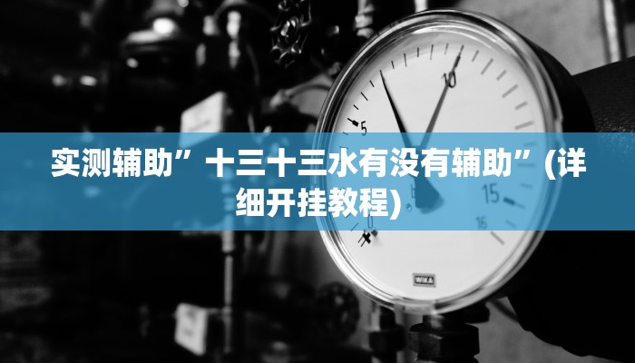 实测辅助”十三十三水有没有辅助”(详细开挂教程)