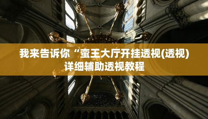 我来告诉你“随身十三道有挂吗(透视)详细辅助透视教程