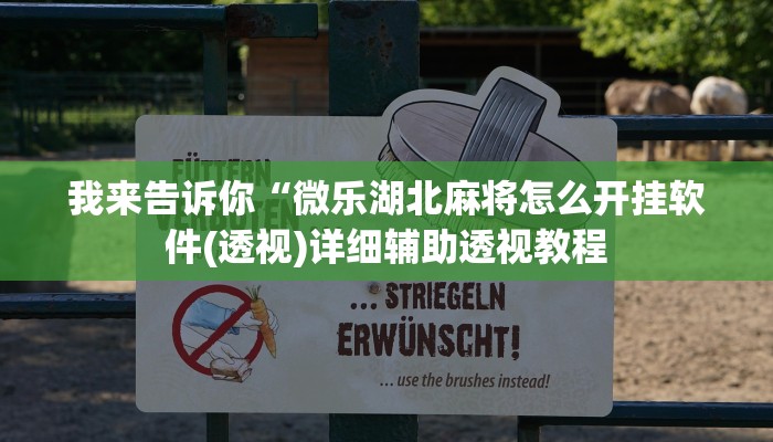 我来告诉你“微乐湖北麻将怎么开挂软件(透视)详细辅助透视教程