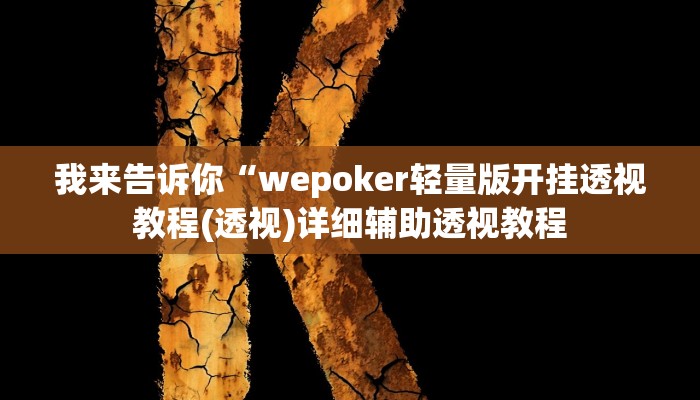 我来告诉你“福建十三水有挂吗(透视)详细辅助透视教程