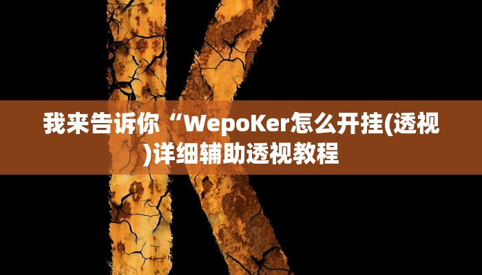 我来告诉你“WepoKer怎么开挂(透视)详细辅助透视教程