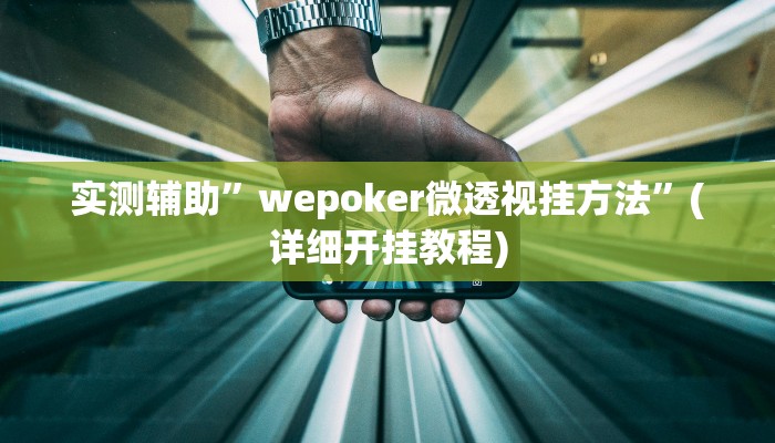 我来告诉你“吉祥填大坑辅助器通用版(透视)详细辅助透视教程