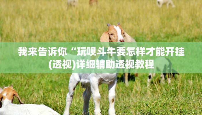 我来告诉你“玩呗斗牛要怎样才能开挂(透视)详细辅助透视教程