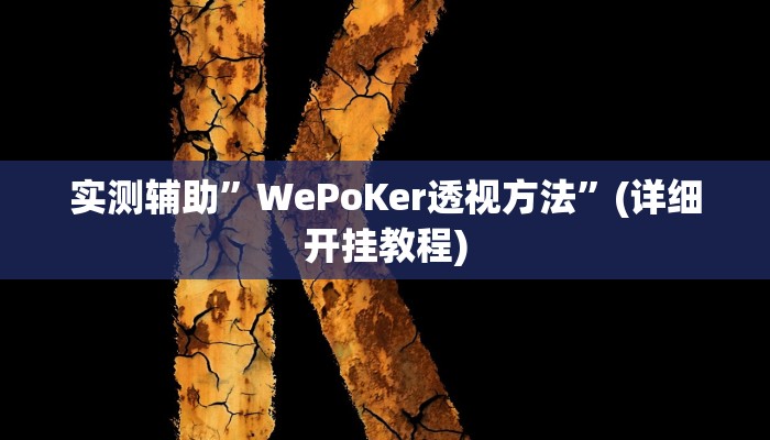 实测辅助”WePoKer透视方法”(详细开挂教程)