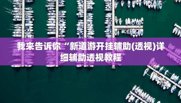 我来告诉你“新道游开挂辅助(透视)详细辅助透视教程