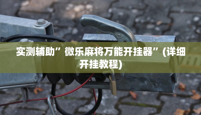 我来告诉你“hhpoker透视脚本(透视)详细辅助透视教程