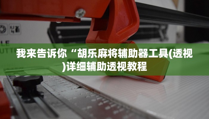我来告诉你“胡乐麻将辅助器工具(透视)详细辅助透视教程