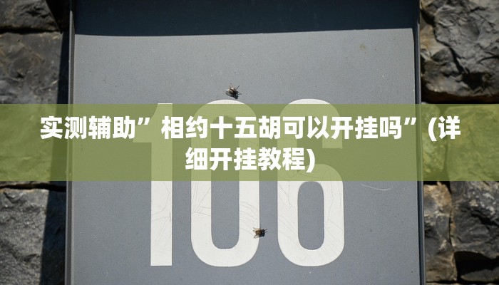 我来告诉你“墨韵麻趣怎么开挂(透视)详细辅助透视教程