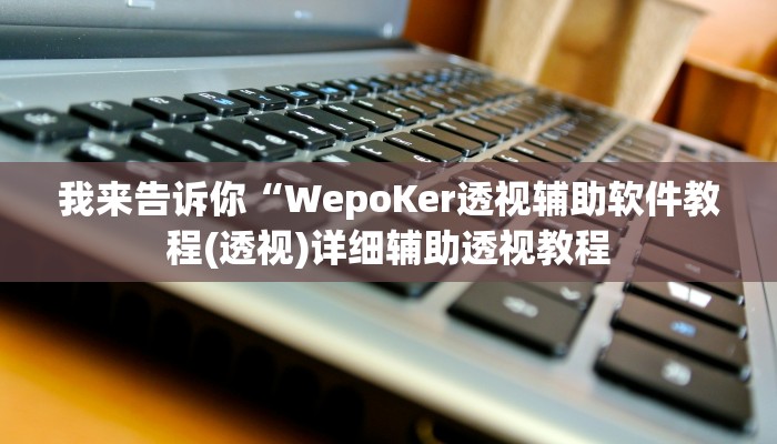 我来告诉你“WepoKer透视辅助软件教程(透视)详细辅助透视教程