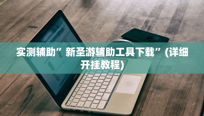 实测辅助”新圣游辅助工具下载”(详细开挂教程)