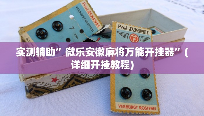 实测辅助”微乐安徽麻将万能开挂器”(详细开挂教程)