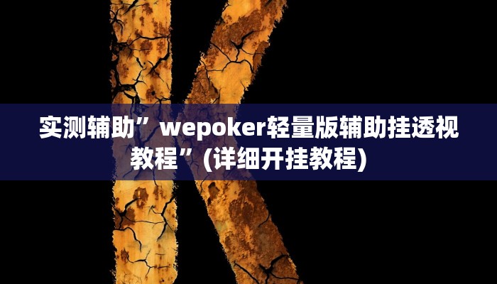 我来告诉你“吉祥填大坑透视软件(透视)详细辅助透视教程