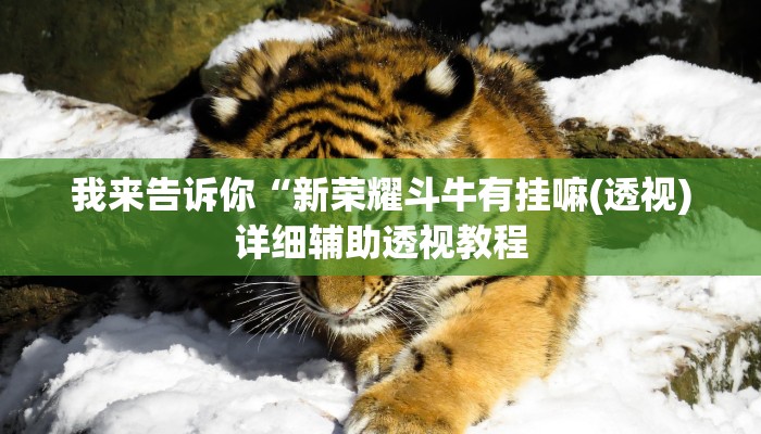 实测辅助”太浪扶余麻将怎么开挂”(详细开挂教程)