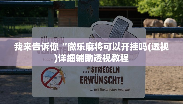 我来告诉你“微乐麻将可以开挂吗(透视)详细辅助透视教程