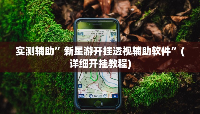 实测辅助”新星游开挂透视辅助软件”(详细开挂教程)