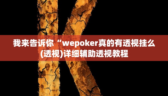 我来告诉你“新王者有挂吗(透视)详细辅助透视教程