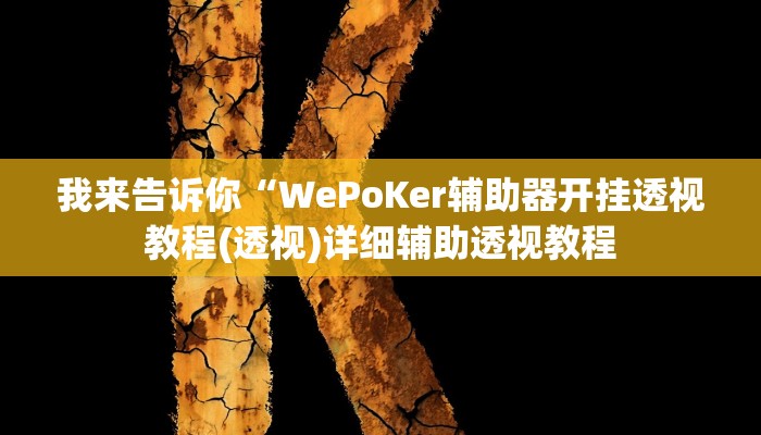 我来告诉你“WePoKer辅助器开挂透视教程(透视)详细辅助透视教程