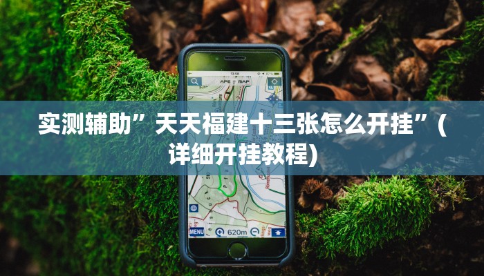 实测辅助”天天福建十三张怎么开挂”(详细开挂教程)