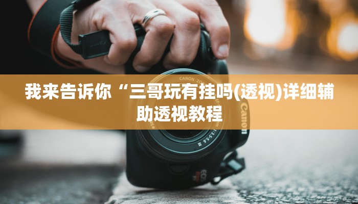 我来告诉你“三哥玩有挂吗(透视)详细辅助透视教程