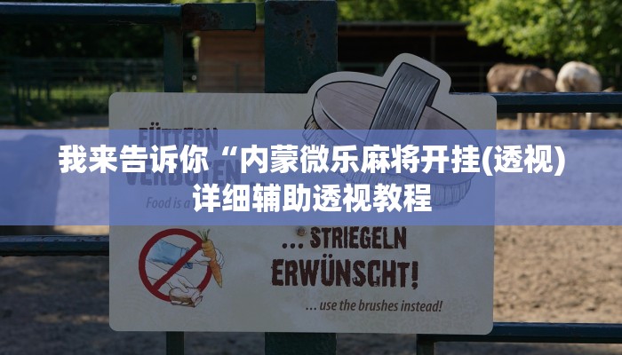 我来告诉你“内蒙微乐麻将开挂(透视)详细辅助透视教程