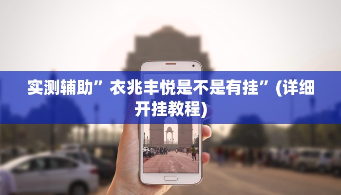 实测辅助”衣兆丰悦是不是有挂”(详细开挂教程)
