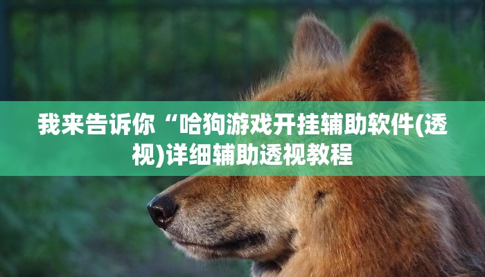 我来告诉你“哈狗游戏开挂辅助软件(透视)详细辅助透视教程