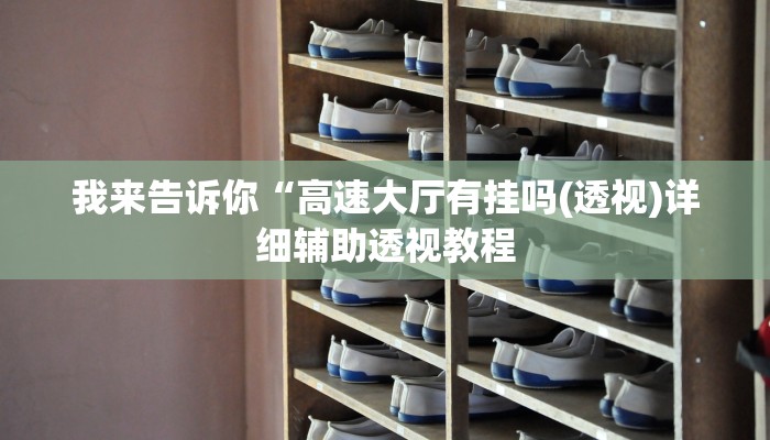 我来告诉你“高速大厅有挂吗(透视)详细辅助透视教程
