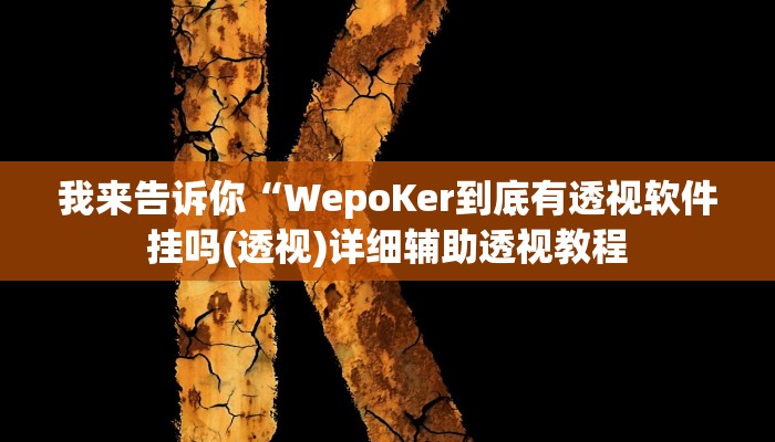 我来告诉你“WepoKer到底有透视软件挂吗(透视)详细辅助透视教程
