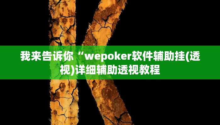 我来告诉你“德扑之星辅助软件下载(透视)详细辅助透视教程