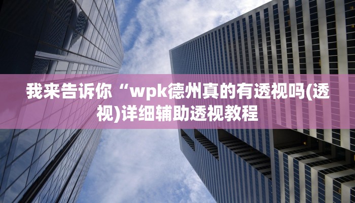 我来告诉你“wpk德州真的有透视吗(透视)详细辅助透视教程