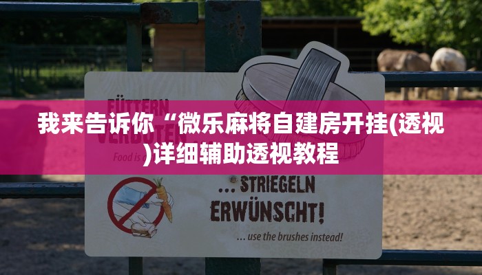 我来告诉你“wepoker透视挂安装 (透视)详细辅助透视教程