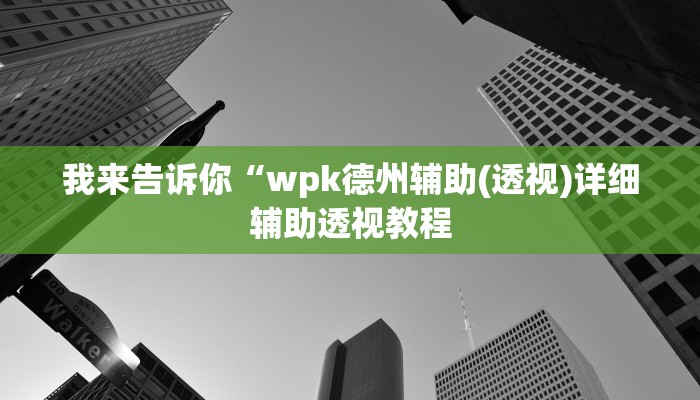 我来告诉你“wpk德州辅助(透视)详细辅助透视教程