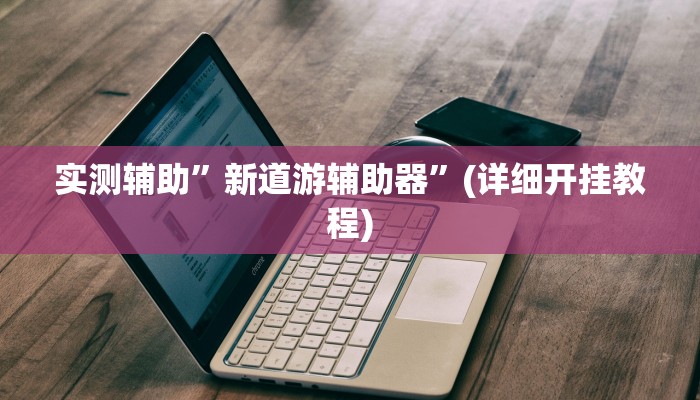 实测辅助”新道游辅助器”(详细开挂教程)
