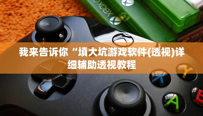 我来告诉你“填大坑游戏软件(透视)详细辅助透视教程