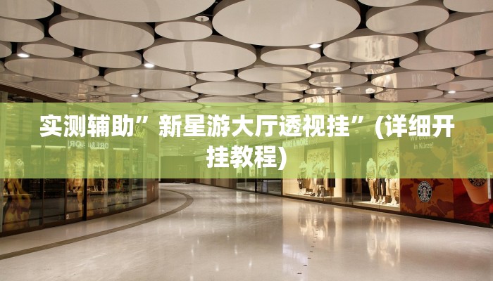 实测辅助”新星游大厅透视挂”(详细开挂教程)