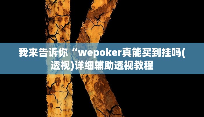 我来告诉你“wepoker真能买到挂吗(透视)详细辅助透视教程