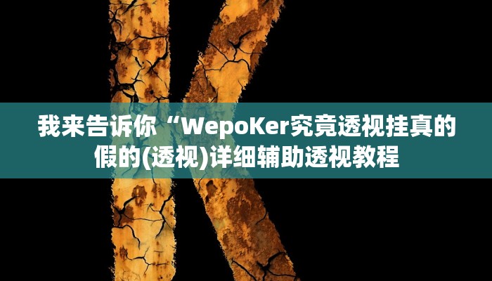 我来告诉你“werplan德州到底有没有挂(透视)详细辅助透视教程