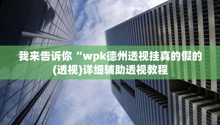 我来告诉你“wpk德州透视挂真的假的(透视)详细辅助透视教程