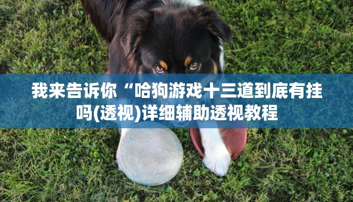 我来告诉你“哈狗游戏十三道到底有挂吗(透视)详细辅助透视教程