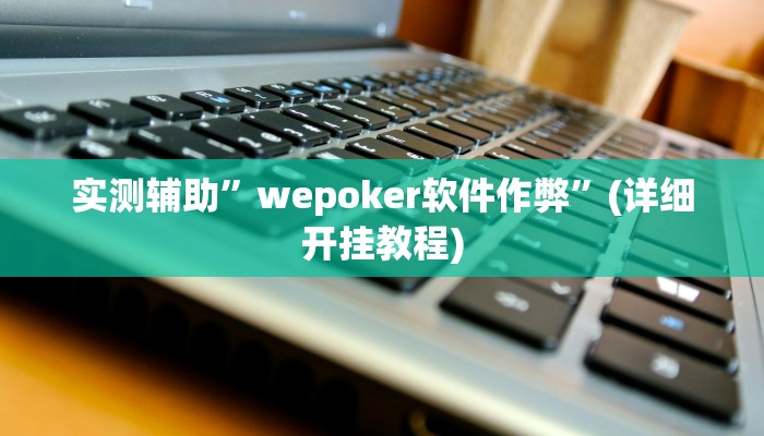 实测辅助”wepoker软件作弊”(详细开挂教程)
