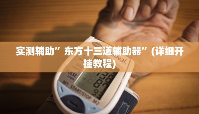 实测辅助”东方十三道辅助器”(详细开挂教程)