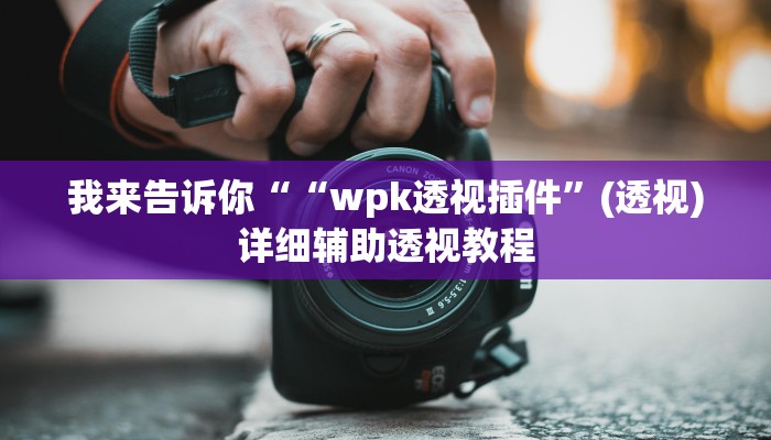 我来告诉你““wpk透视插件”(透视)详细辅助透视教程