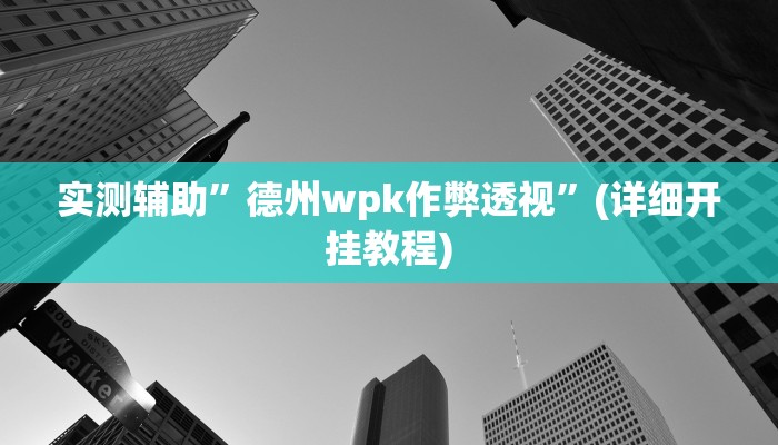 实测辅助”德州wpk作弊透视”(详细开挂教程)