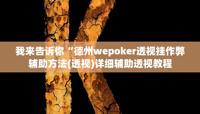 我来告诉你“德州wepoker透视挂作弊辅助方法(透视)详细辅助透视教程
