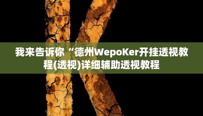 我来告诉你“德州WepoKer开挂透视教程(透视)详细辅助透视教程