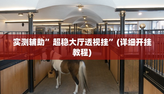 实测辅助”超稳大厅透视挂”(详细开挂教程)