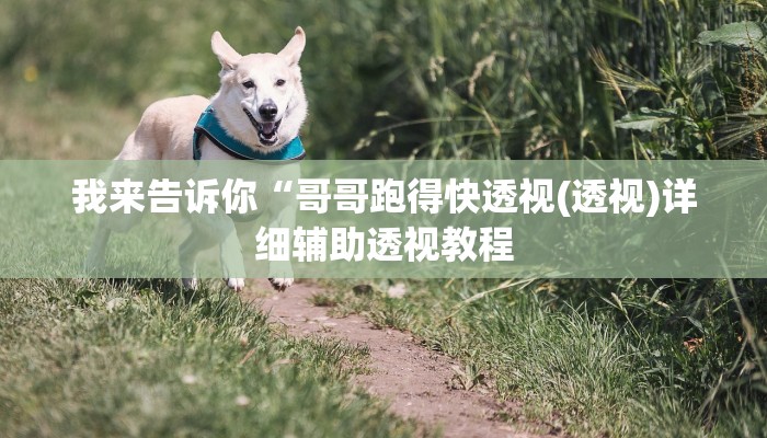 实测辅助”西游大厅是不是有挂”(详细开挂教程)